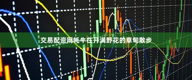 交易配资网牦牛在开满野花的草甸散步