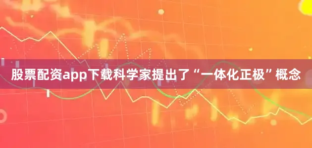 股票配资app下载科学家提出了“一体化正极”概念