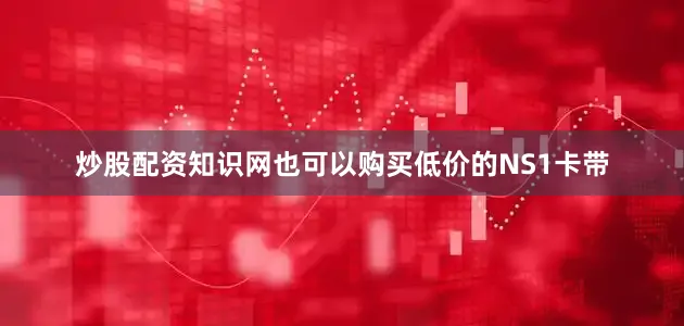炒股配资知识网也可以购买低价的NS1卡带
