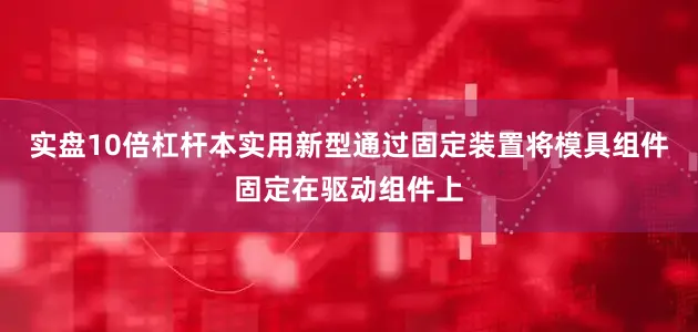 实盘10倍杠杆本实用新型通过固定装置将模具组件固定在驱动组件上